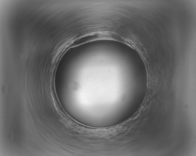 X0000053000001200507151934