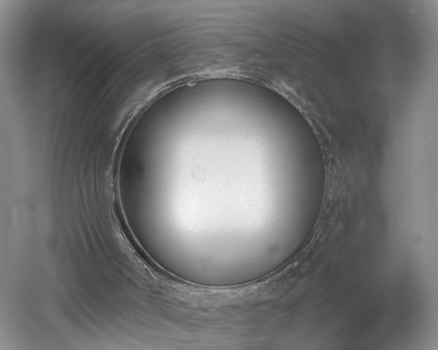 X0000053000002200507151933