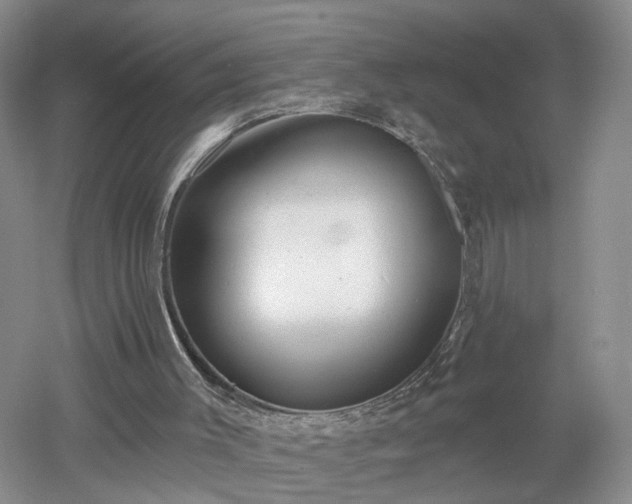 X0000053000003200507151933