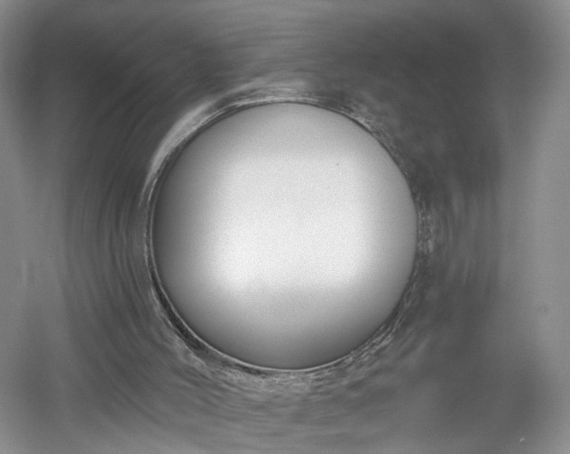 X0000053000004200507151933