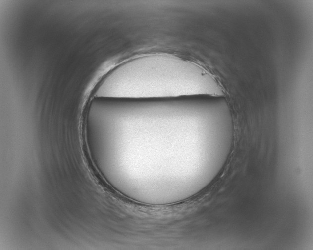 X0000053000006200507151933