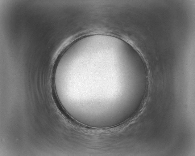 X0000053000007200507151933