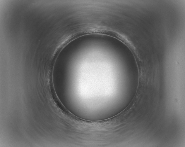 X0000053000010200507151933