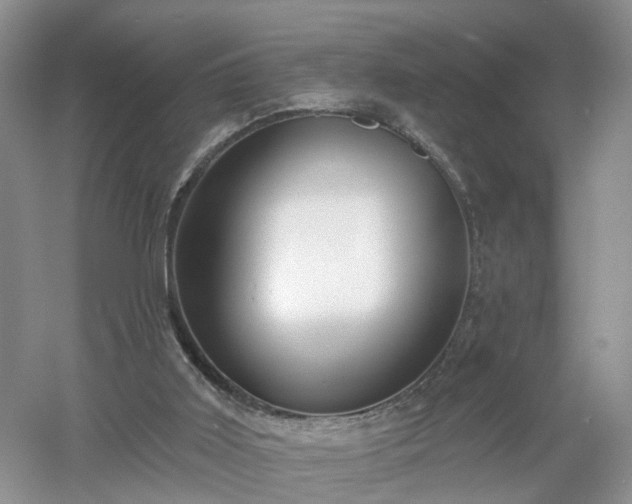 X0000053000011200507151933