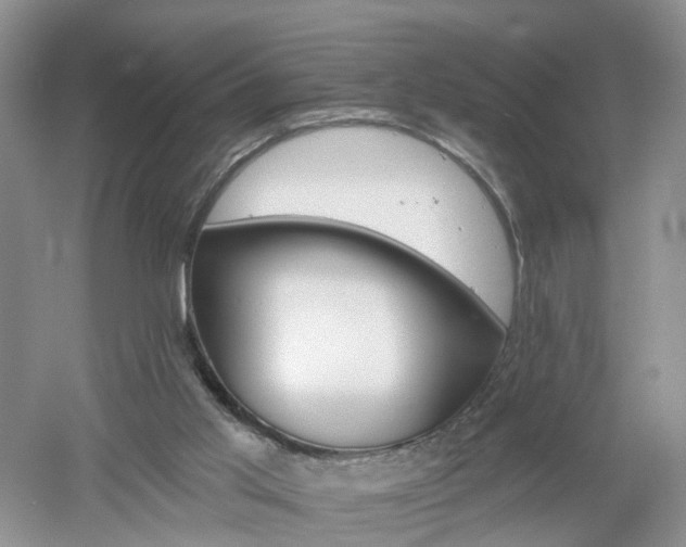 X0000053000013200507151933