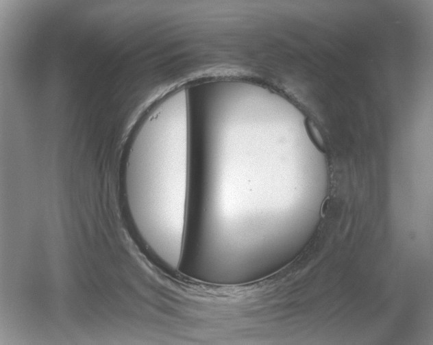 X0000053000015200507151933