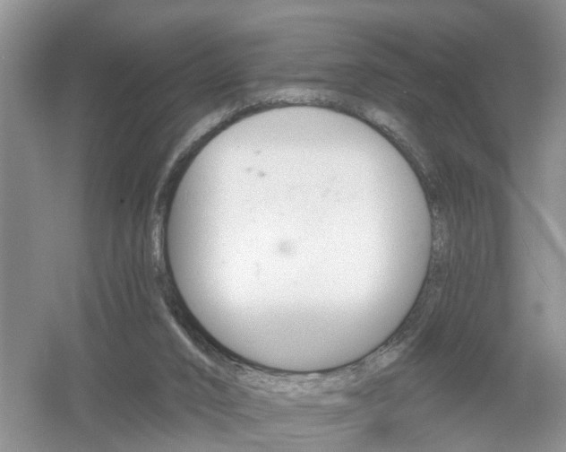 X0000053000016200507151933