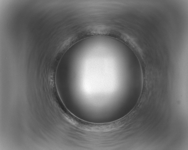 X0000053000017200507151933