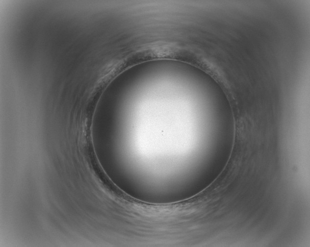 X0000053000018200507151933