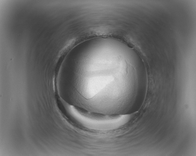 X0000053000019200507151933