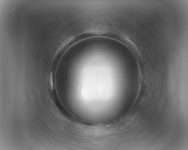 X0000053000020200507151933