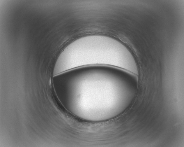 X0000053000021200507151933