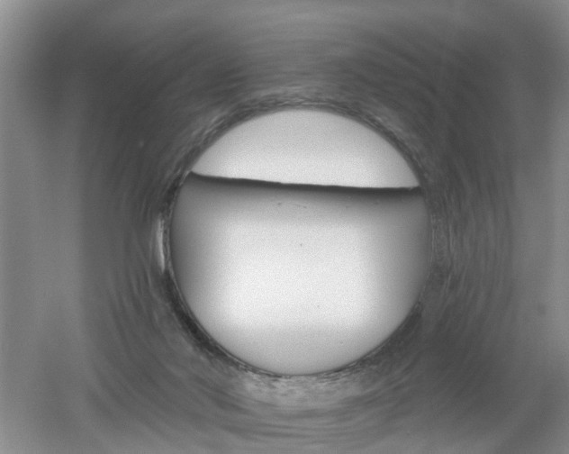 X0000053000022200507151933