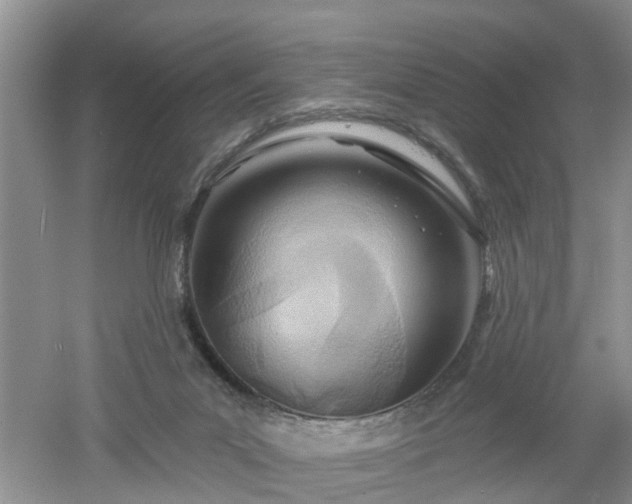 X0000053000023200507151933