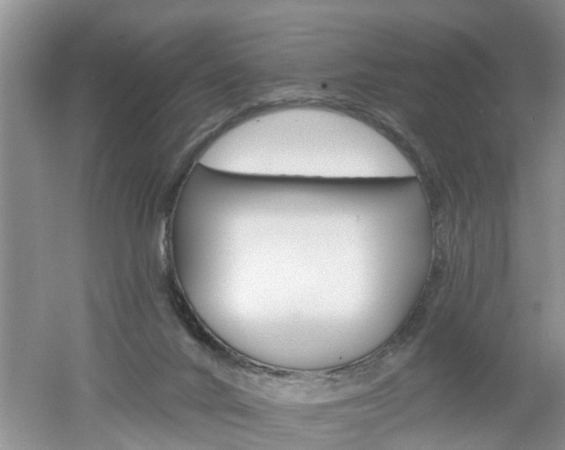 X0000053000024200507151933