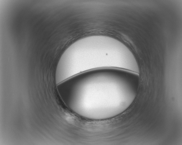 X0000053000025200507151933