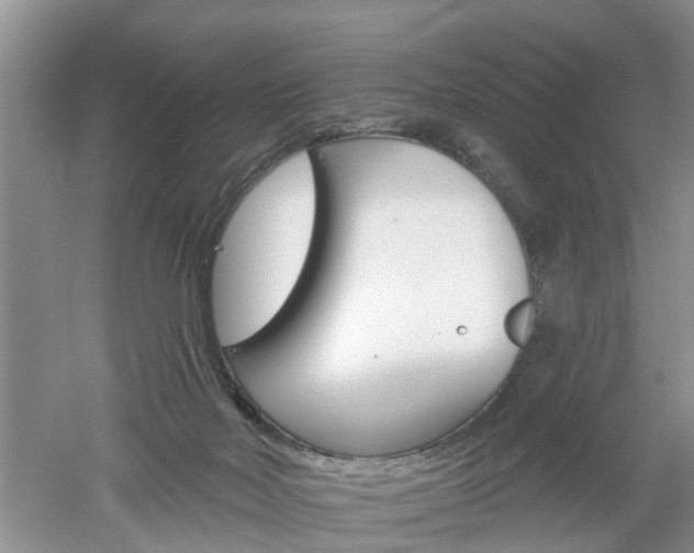 X0000053000026200507151933