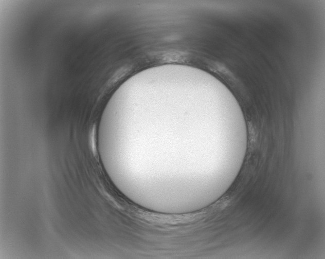 X0000053000028200507151933