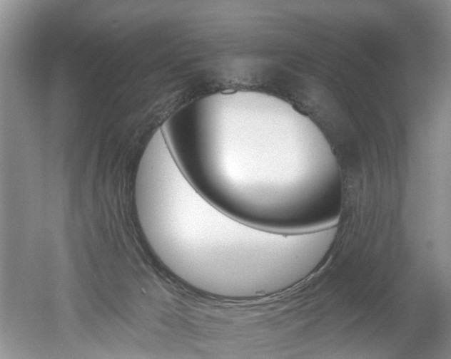 X0000053000029200507151933