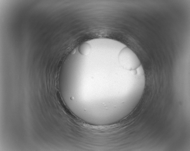 X0000053000030200507151933