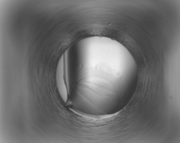 X0000053000031200507151933