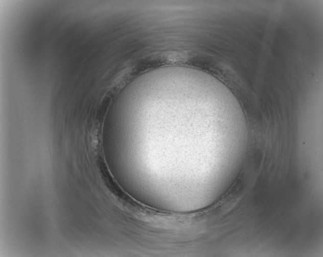 X0000053000032200507151933