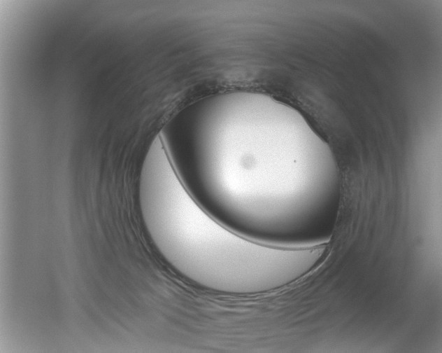 X0000053000033200507151933