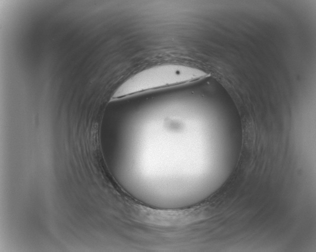 X0000053000034200507151933