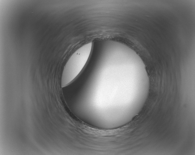 X0000053000035200507151933