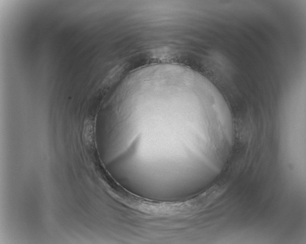 X0000053000036200507151933