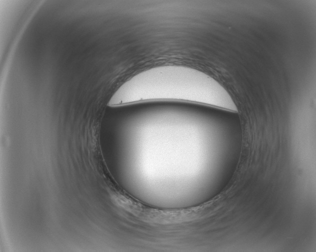 X0000053000037200507151933