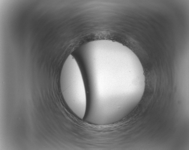 X0000053000038200507151933