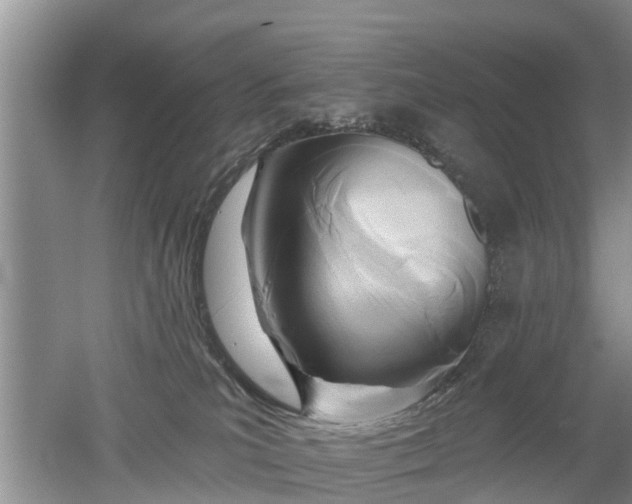 X0000053000039200507151933