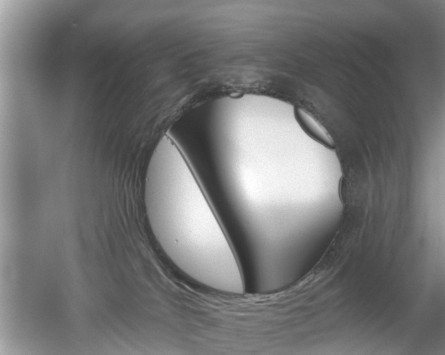 X0000053000040200507151933