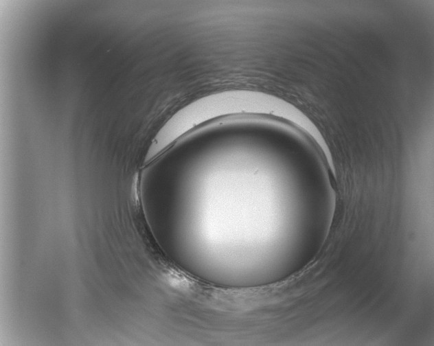 X0000053000041200507151933