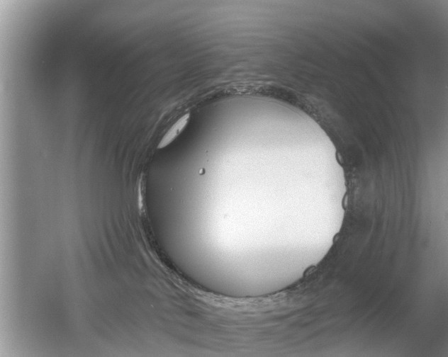 X0000053000042200507151933