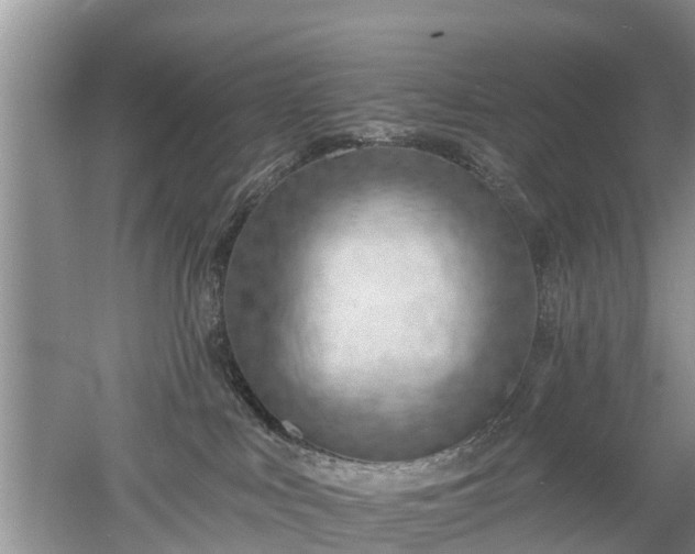 X0000053000043200507151933