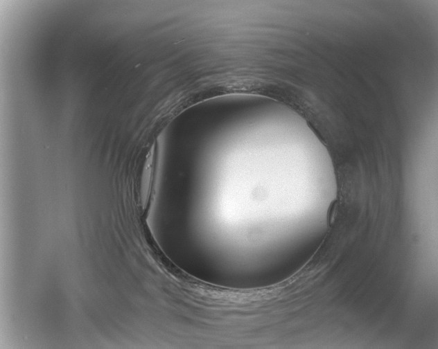 X0000053000044200507151933