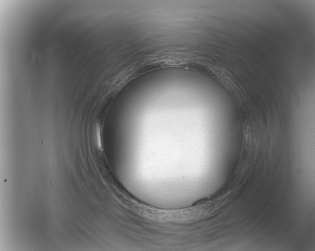 X0000053000046200507151933