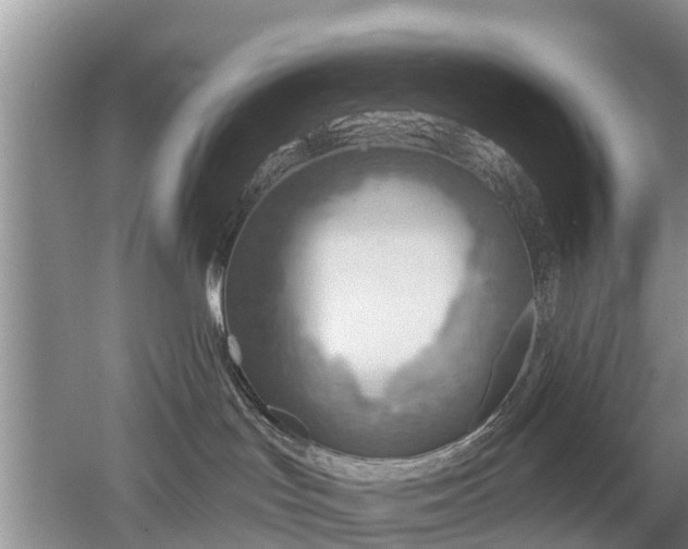 X0000053000047200507151933