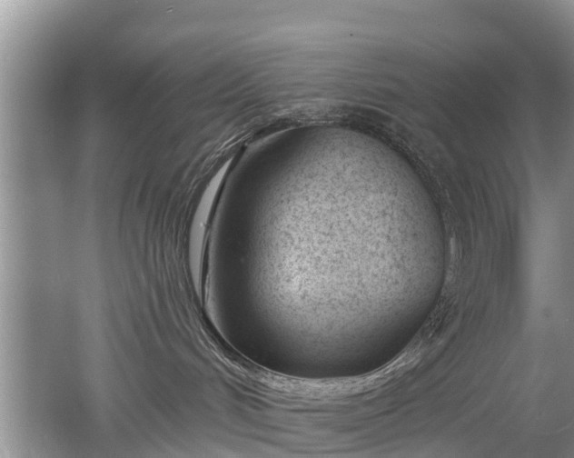 X0000053000048200507151933