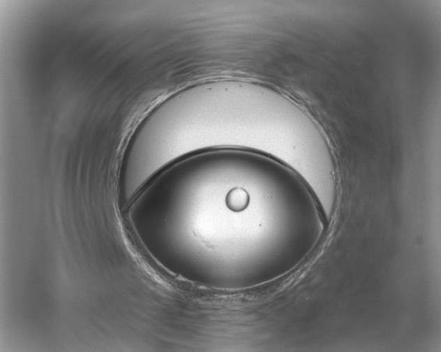 X0000053000049200507151932