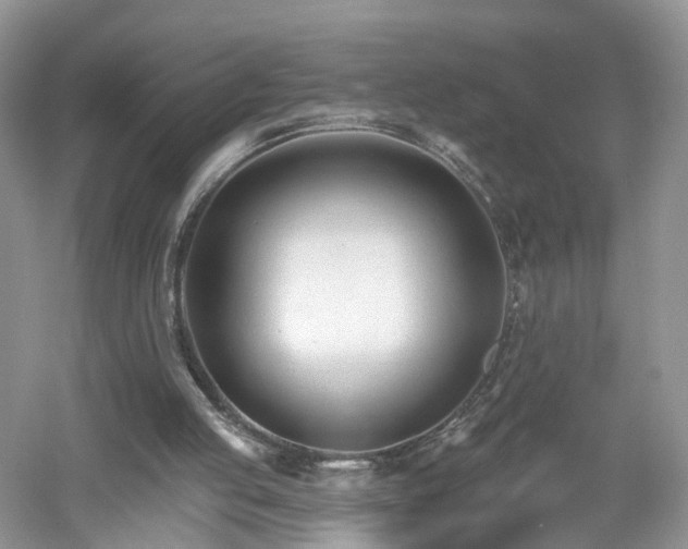 X0000053000053200507151932