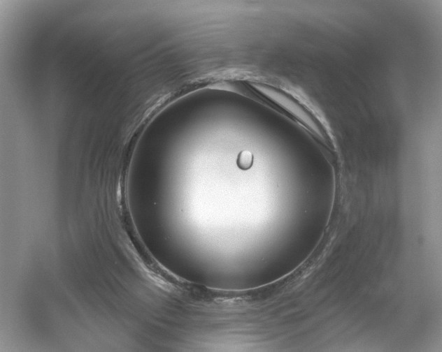 X0000053000057200507151932