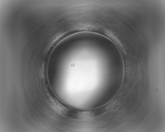 X0000053000058200507151932