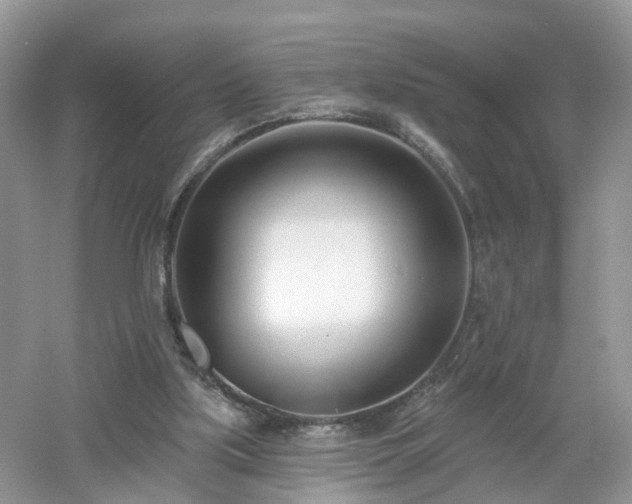 X0000053000059200507151932