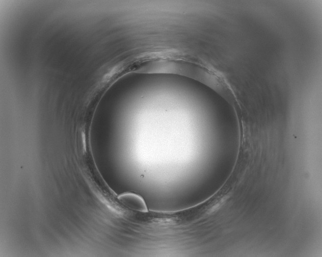 X0000053000061200507151932