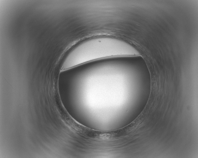 X0000053000064200507151932