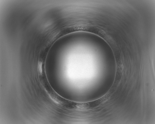 X0000053000070200507151932