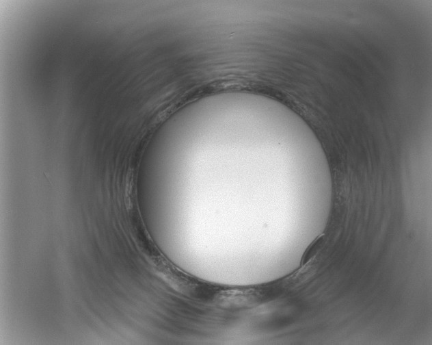 X0000053000082200507151932